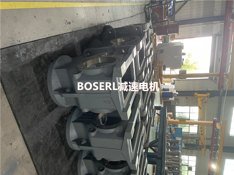 1690947944865848.jpg 齒輪減速機(jī)加電機(jī)